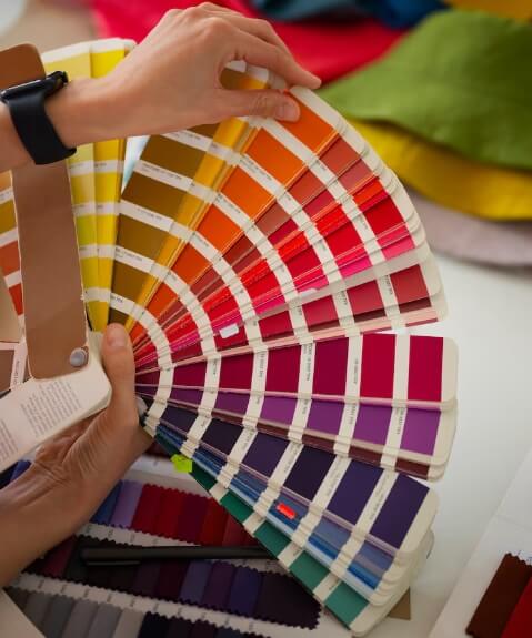 Paleta de Cores: Veja Vários Modelos e O que é